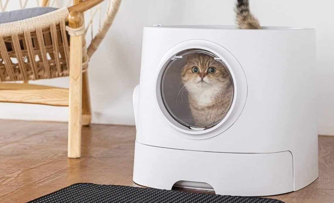 The Ease of Entry and Exit Feature in XXL Litter Boxes for Cats ...