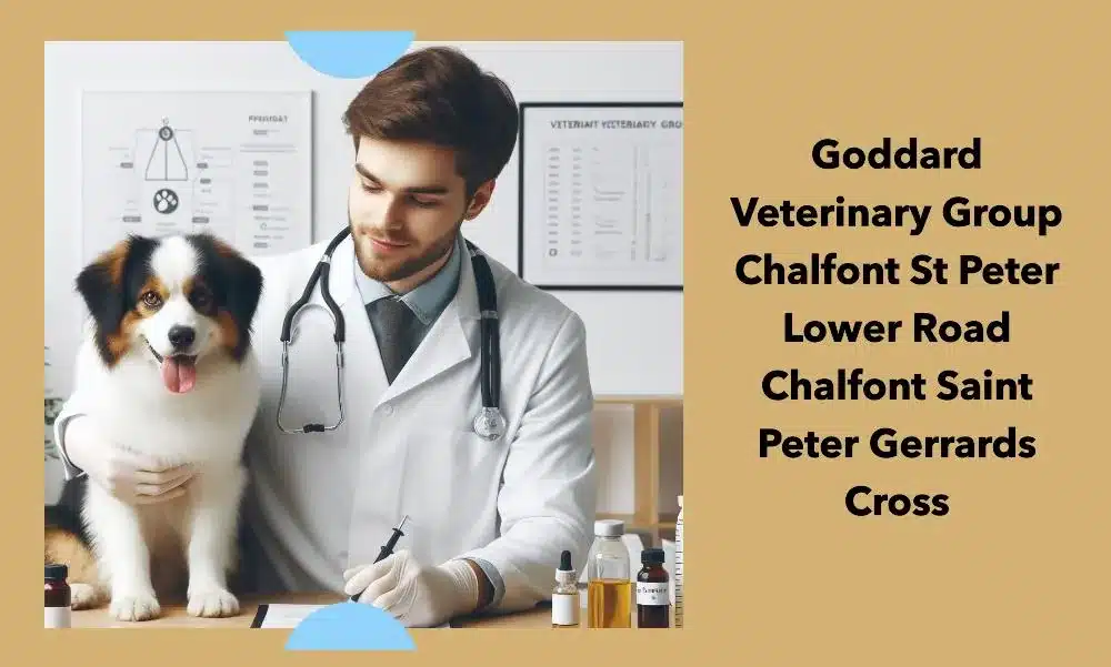 goddard veterinary group chalfont st peter lower road chalfont saint peter gerrards cross